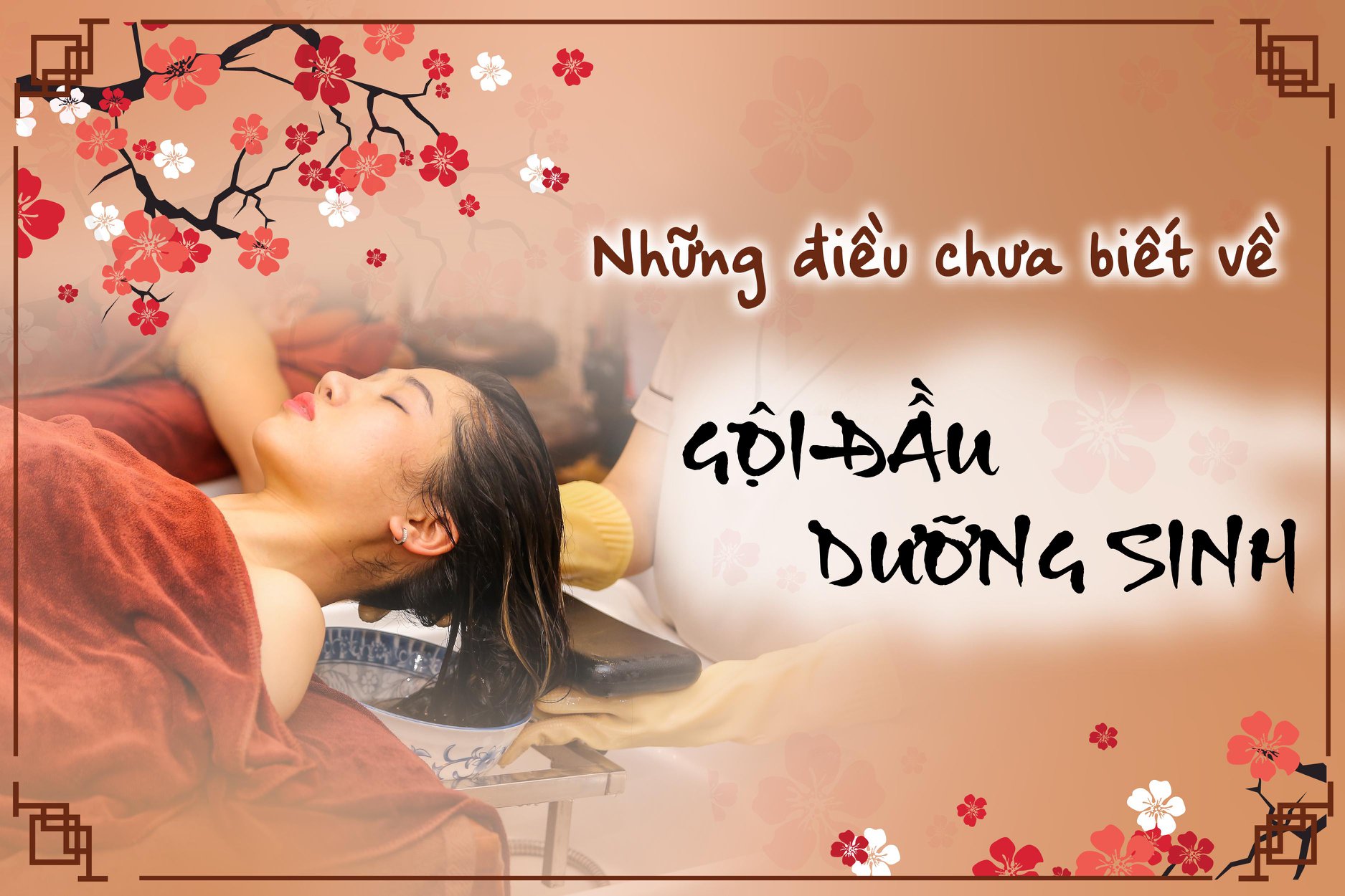 Gội đầu dưỡng sinh kết hợp đả thông kinh lạc vùng đầu: Cải thiện sức khỏe, phòng chống đột quỵ
